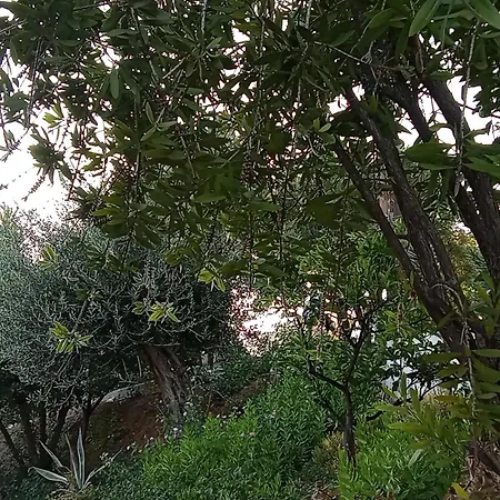 דירה Mara House גליפאדה