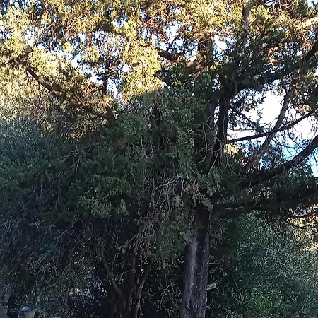 Mara House גליפאדה
